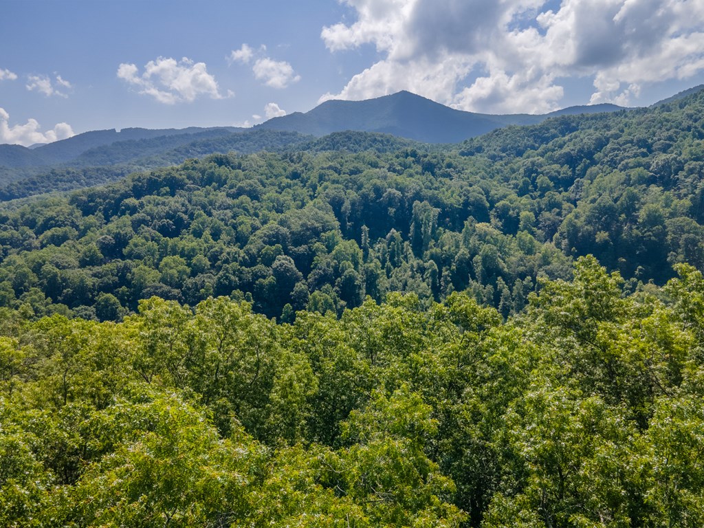 508 Cripple Creek Road