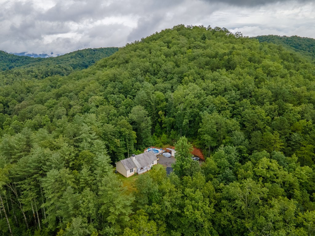 599 Timber Leaf Drive