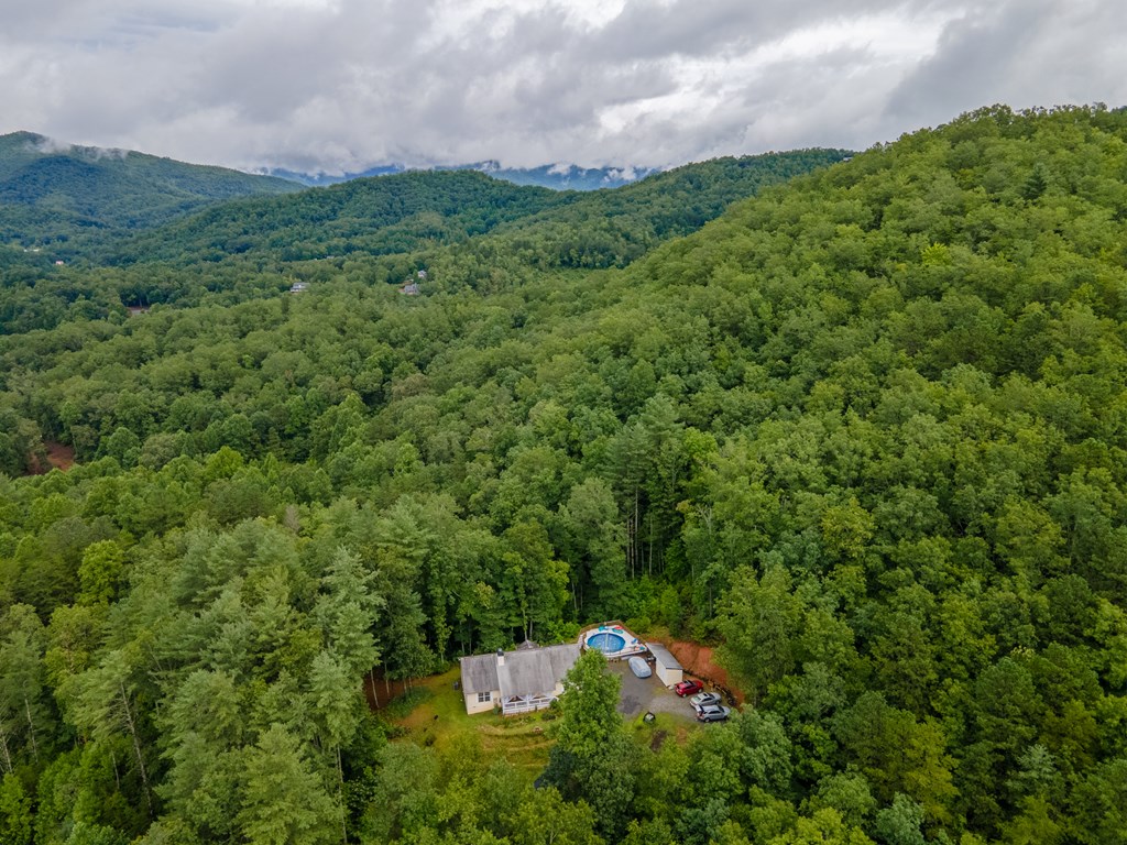 599 Timber Leaf Drive