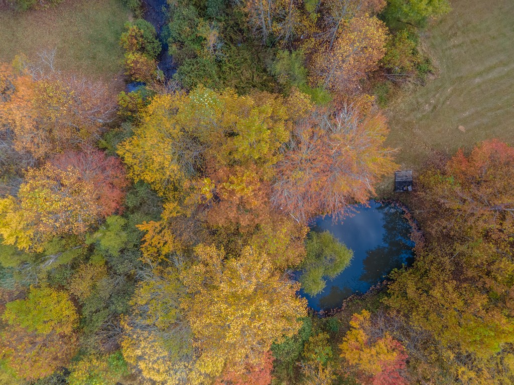 110 Ruby Ridge Road