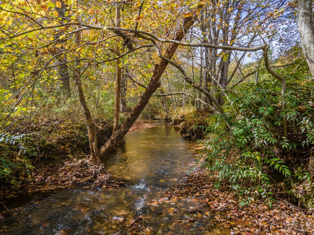 110 Ruby Ridge Road