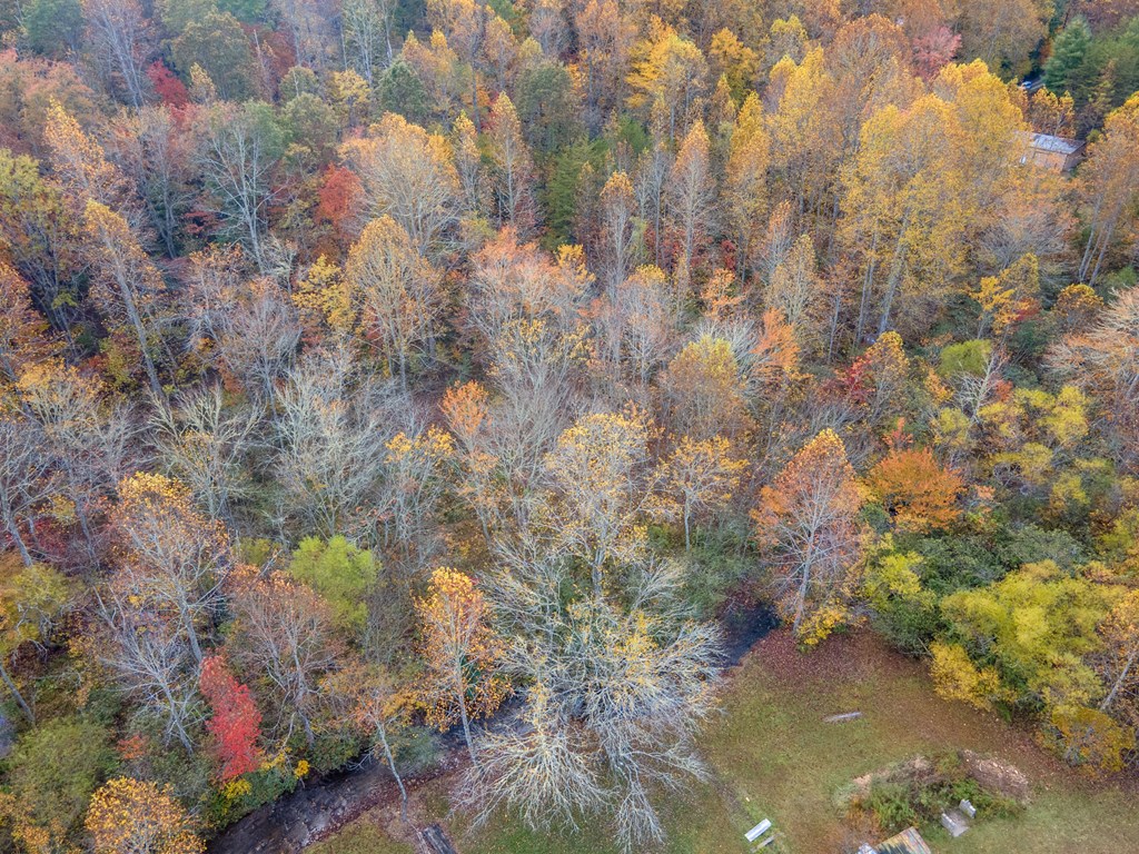 110 Ruby Ridge Road