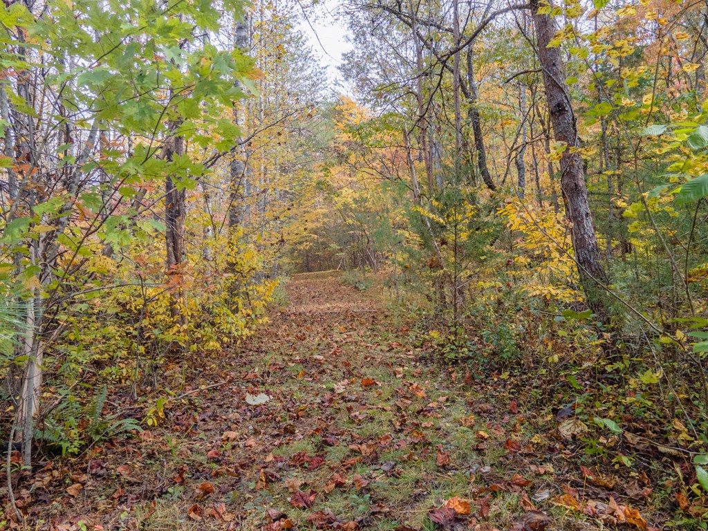 110 Ruby Ridge Road