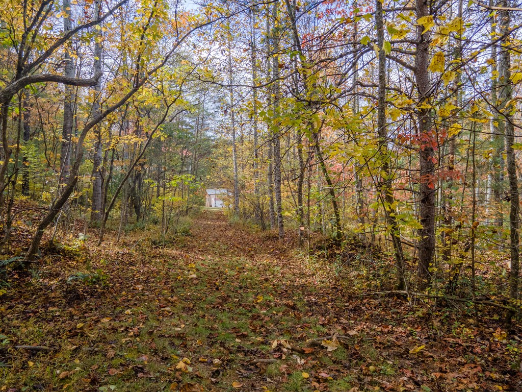 110 Ruby Ridge Road