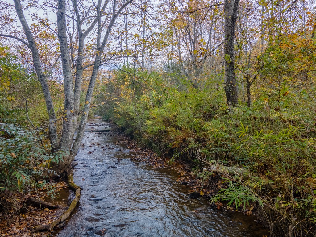110 Ruby Ridge Road