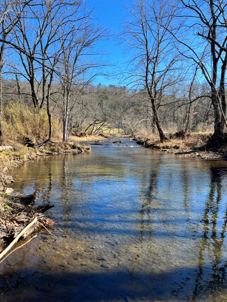 5 Precious Moments Dr