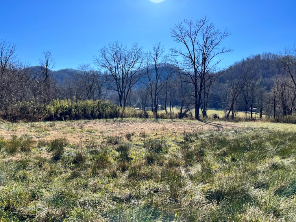 5 Precious Moments Dr