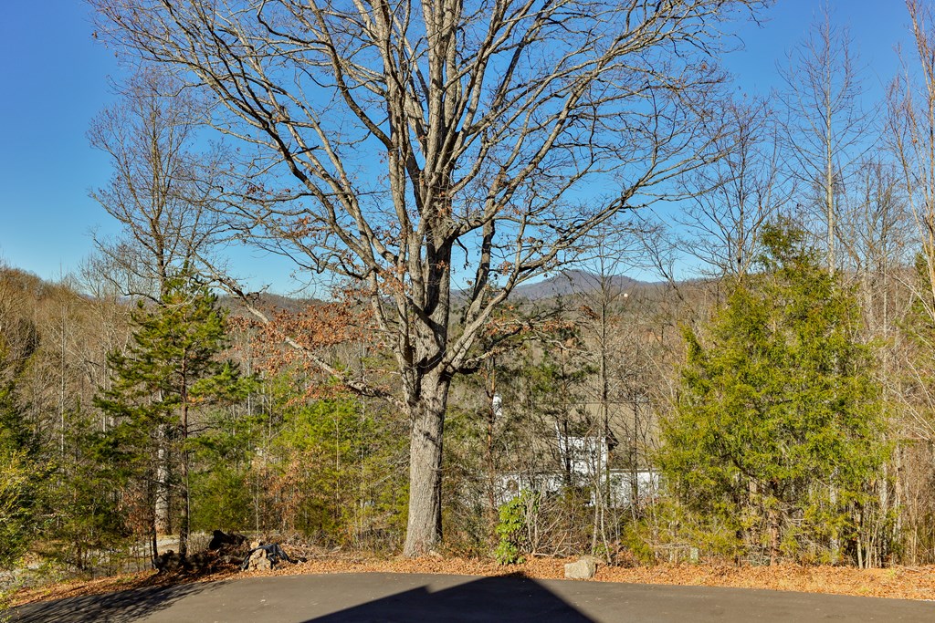 117 Ivy Hills Terrace