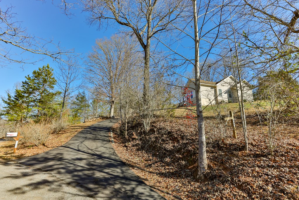 117 Ivy Hills Terrace