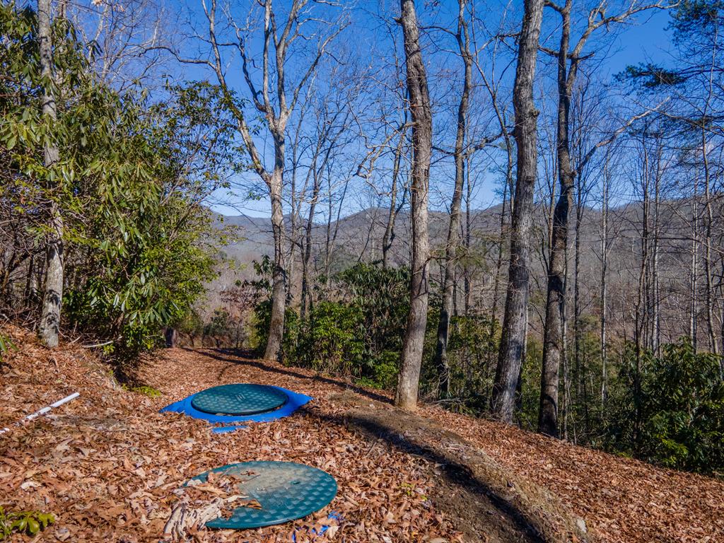 850 Sols Creek Church Rd