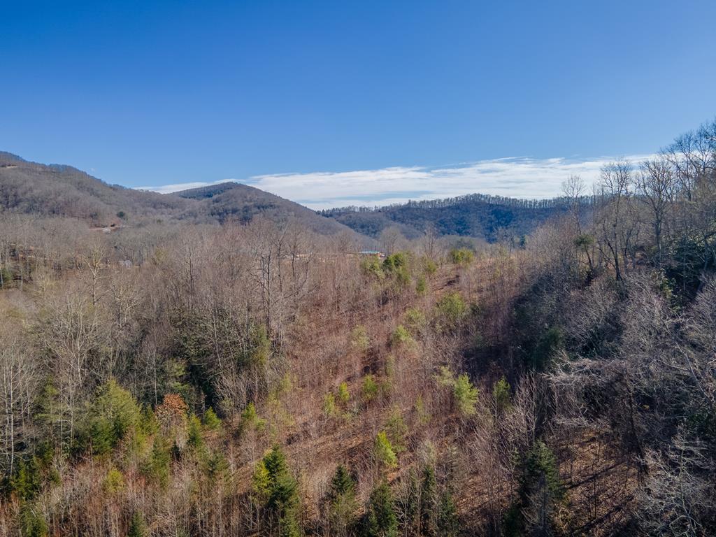 850 Sols Creek Church Rd