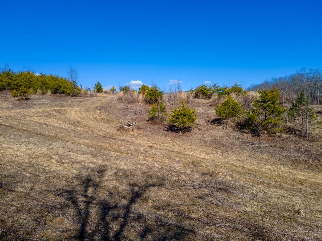 850 Sols Creek Church Rd