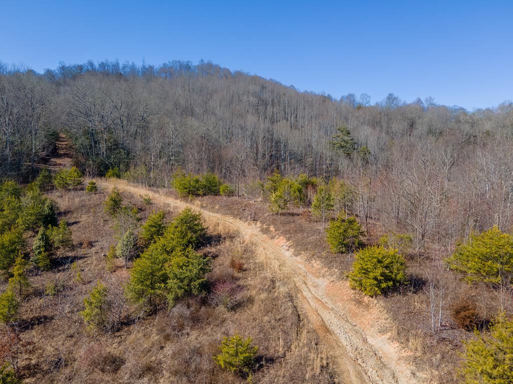 850 Sols Creek Church Rd