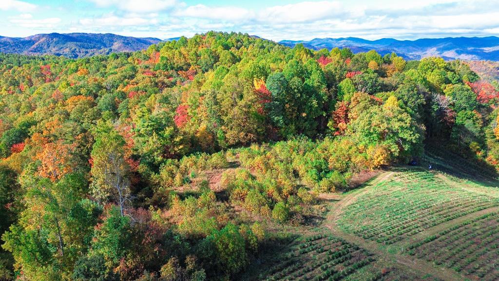 850 Sols Creek Church Rd