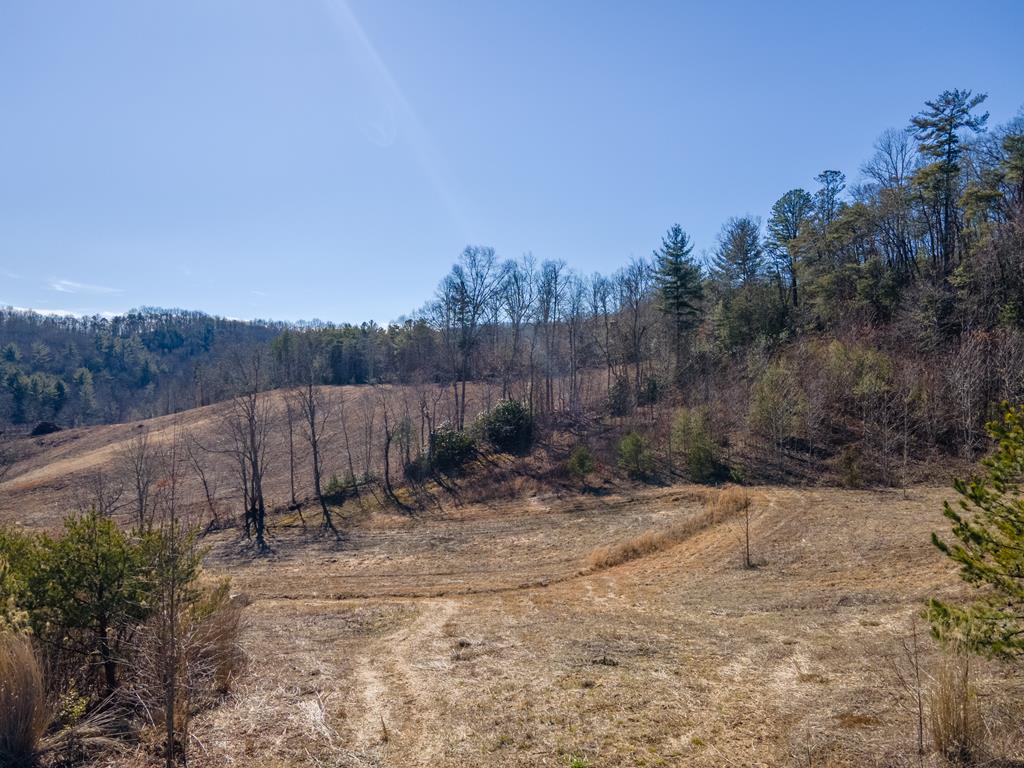 850 Sols Creek Church Rd