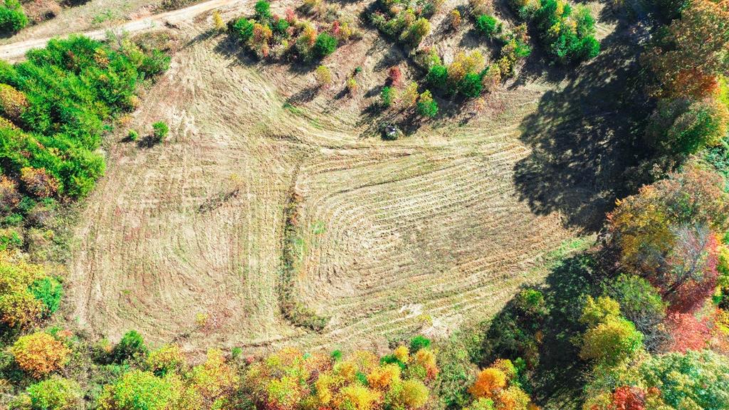 850 Sols Creek Church Rd