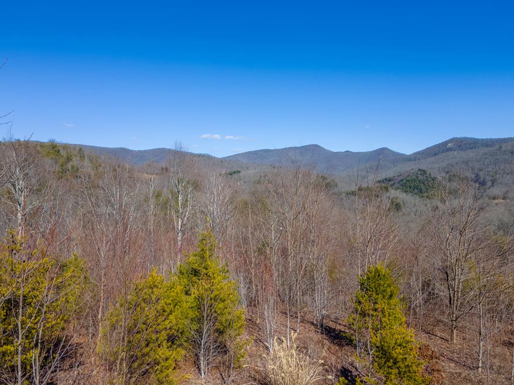 850 Sols Creek Church Rd