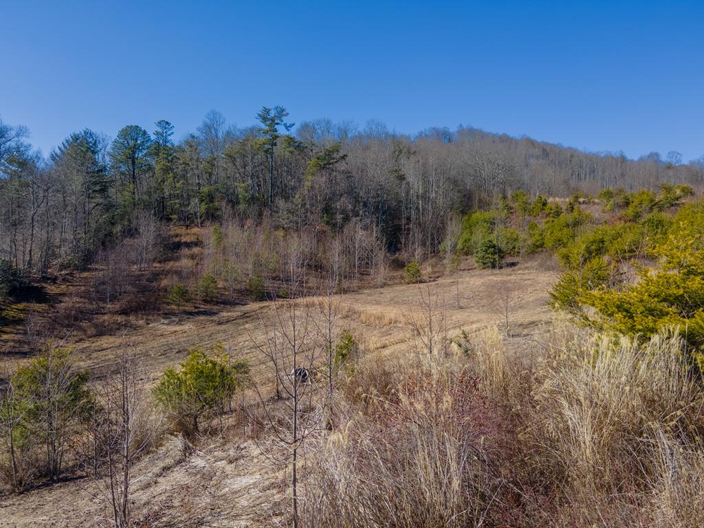 850 Sols Creek Church Rd