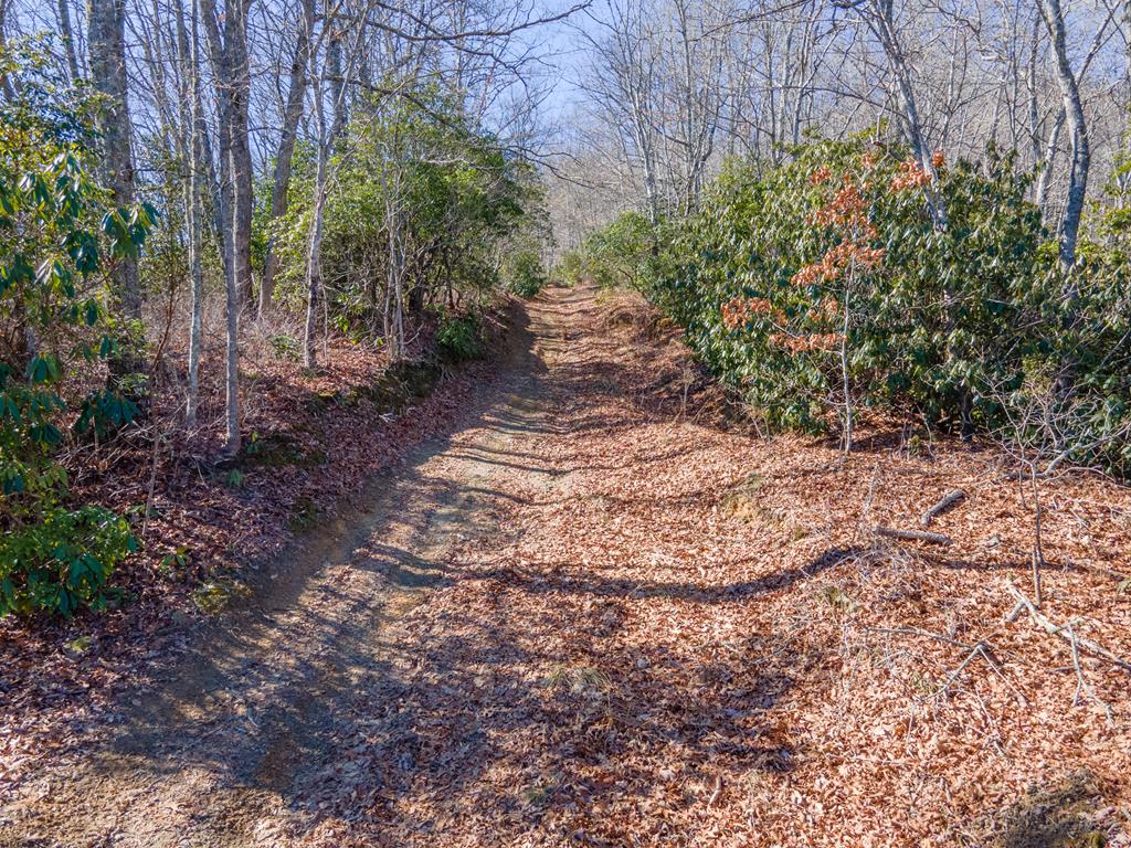 850 Sols Creek Church Rd