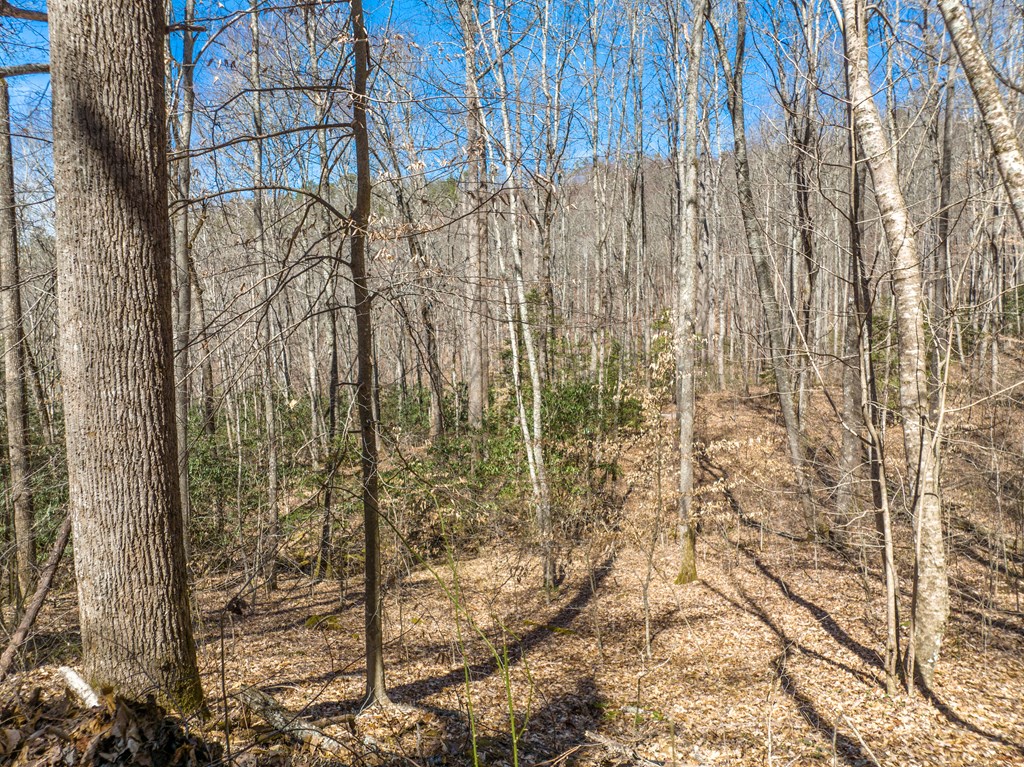 000 Bee Branch Drive