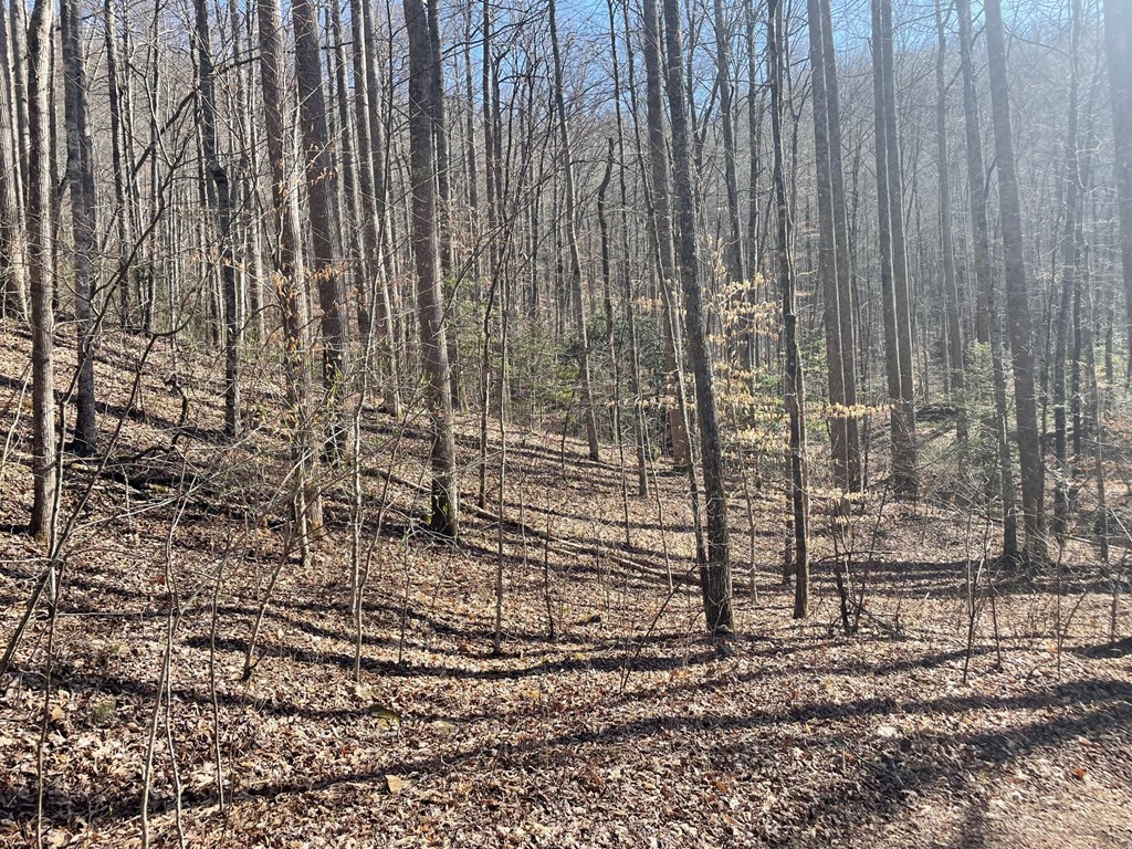 000 Bee Branch Drive