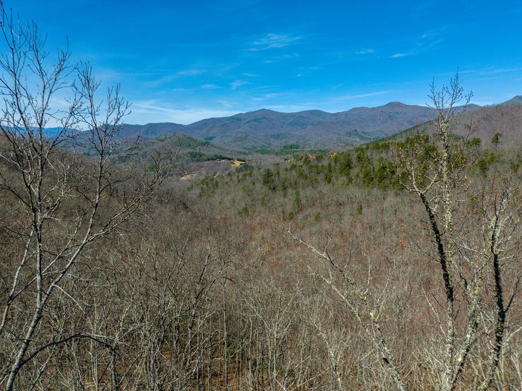 000 Bee Branch Drive