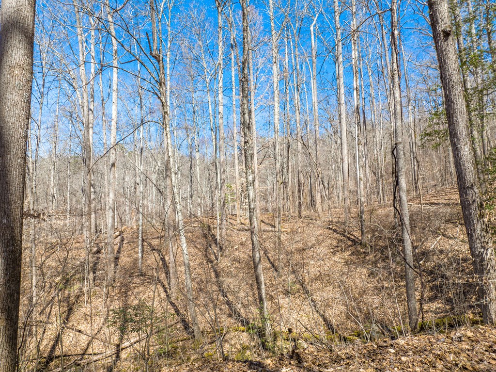 000 Bee Branch Drive