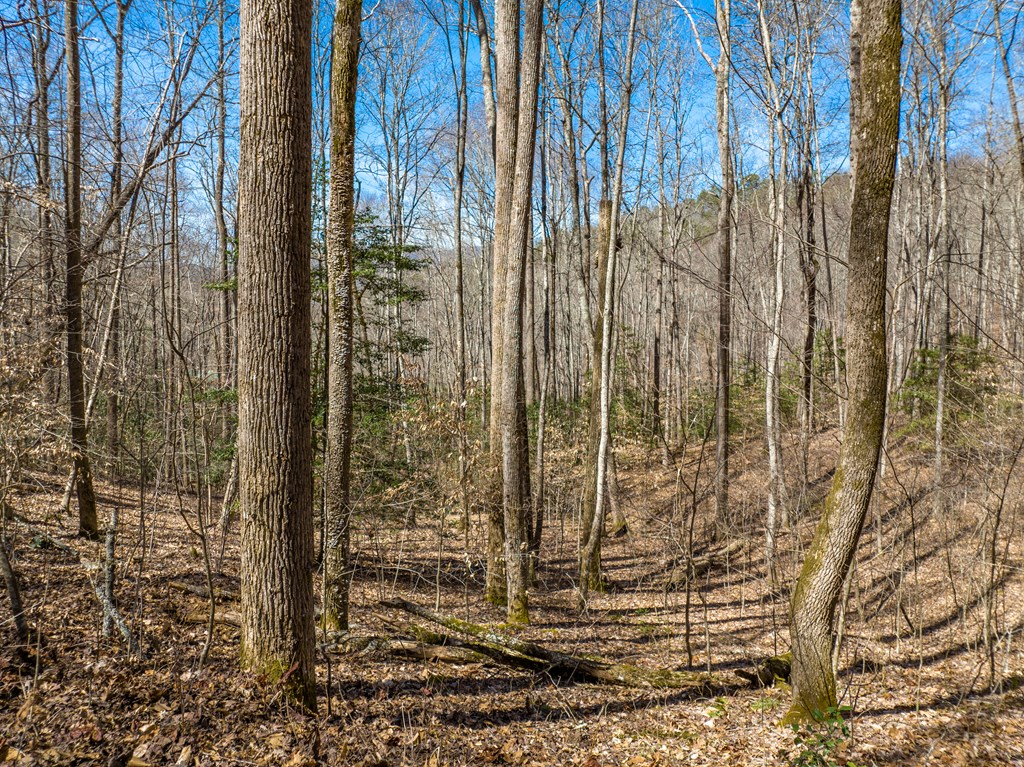 000 Bee Branch Drive