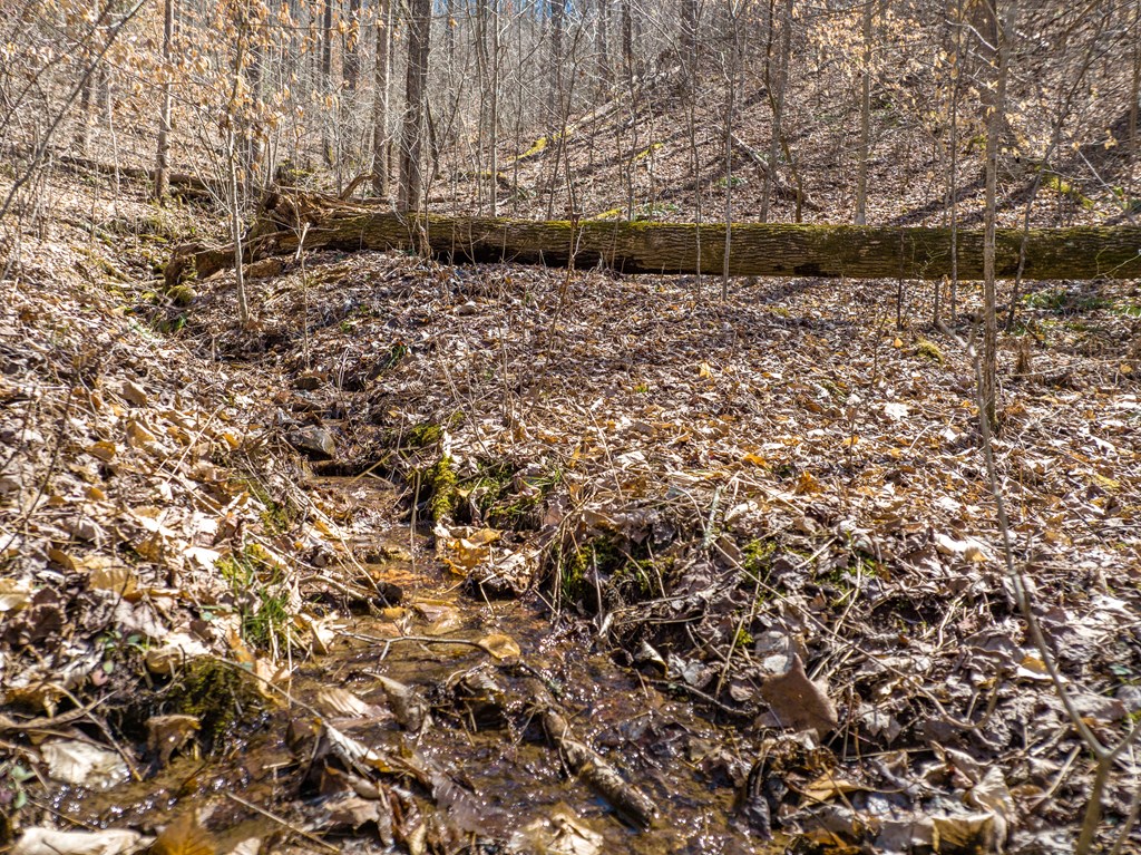 000 Bee Branch Drive