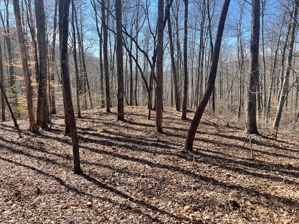 000 Bee Branch Drive