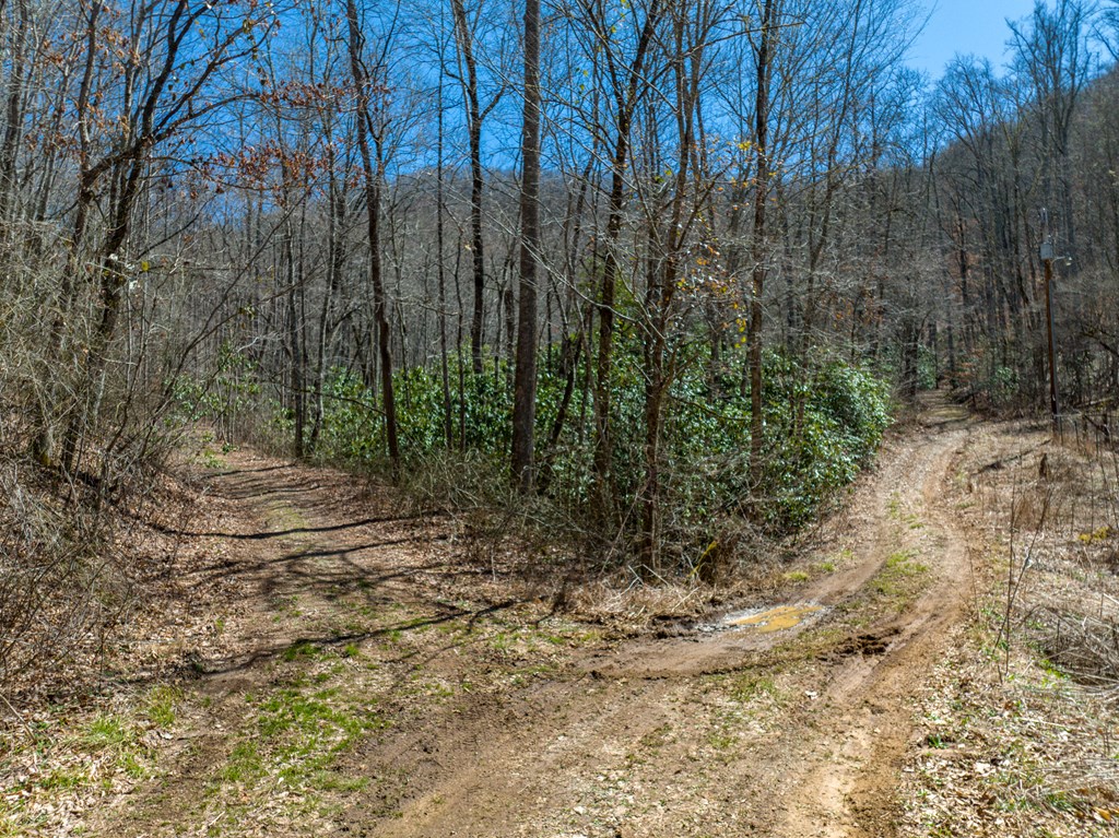 000 Bee Branch Drive