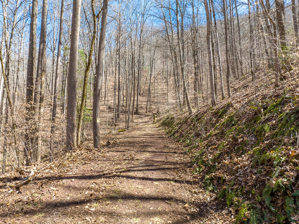 000 Bee Branch Drive