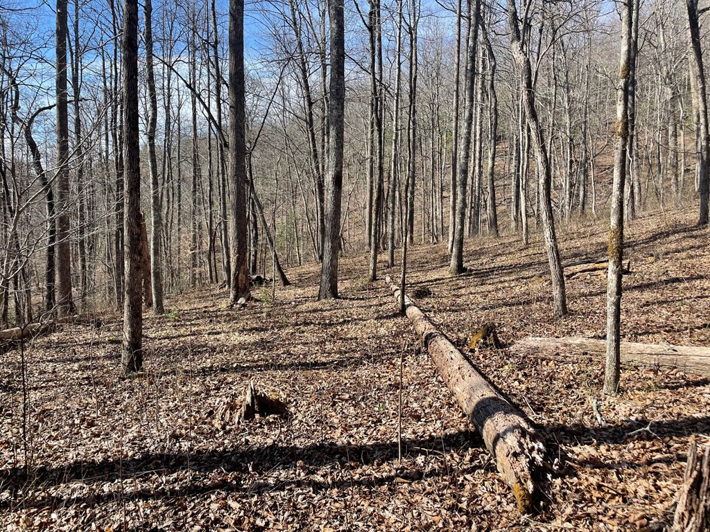 000 Bee Branch Drive