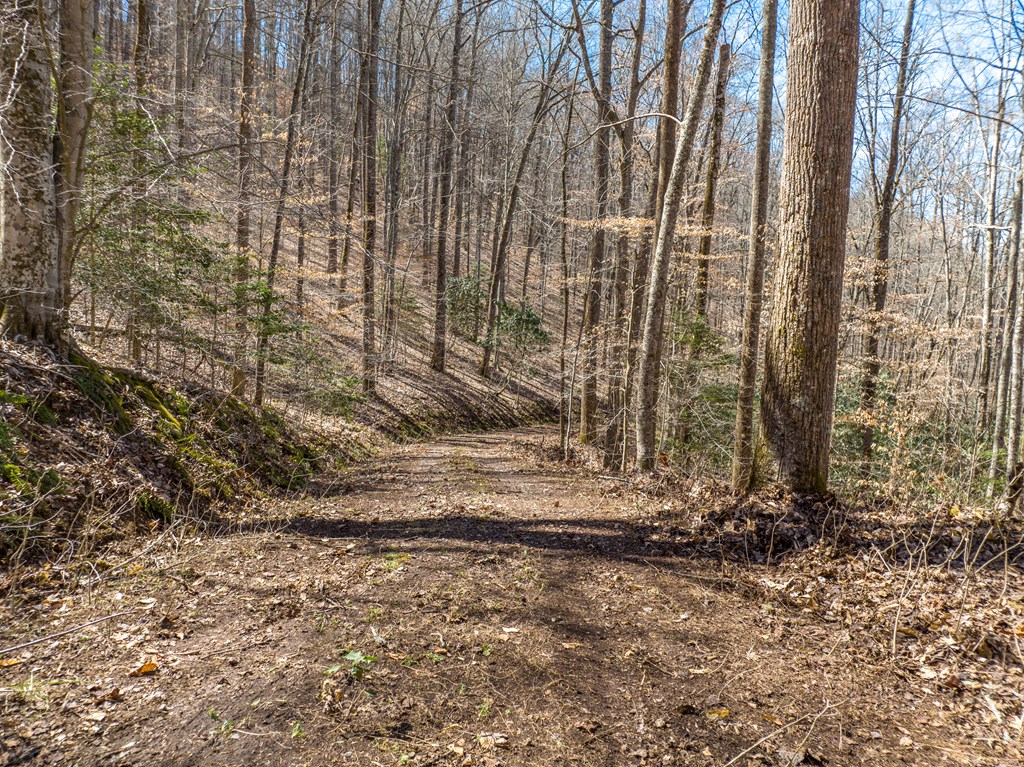 000 Bee Branch Drive