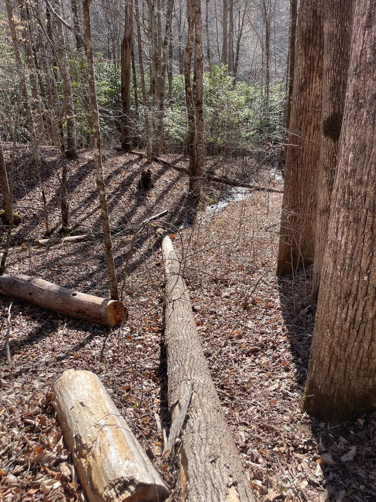 000 Bee Branch Drive