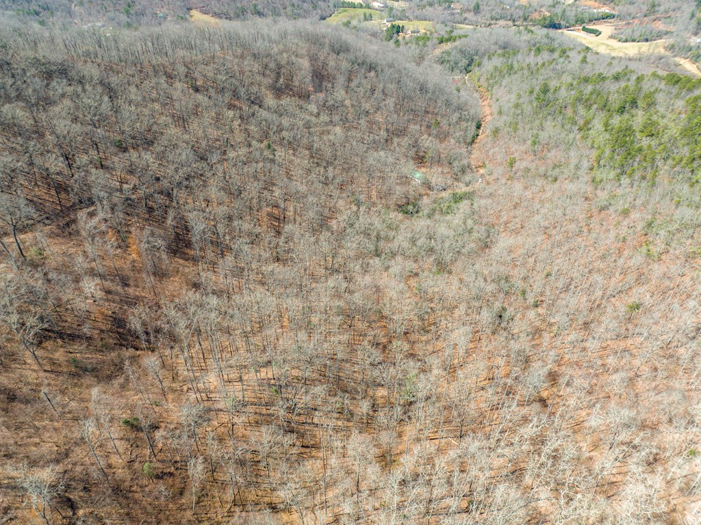 000 Bee Branch Drive