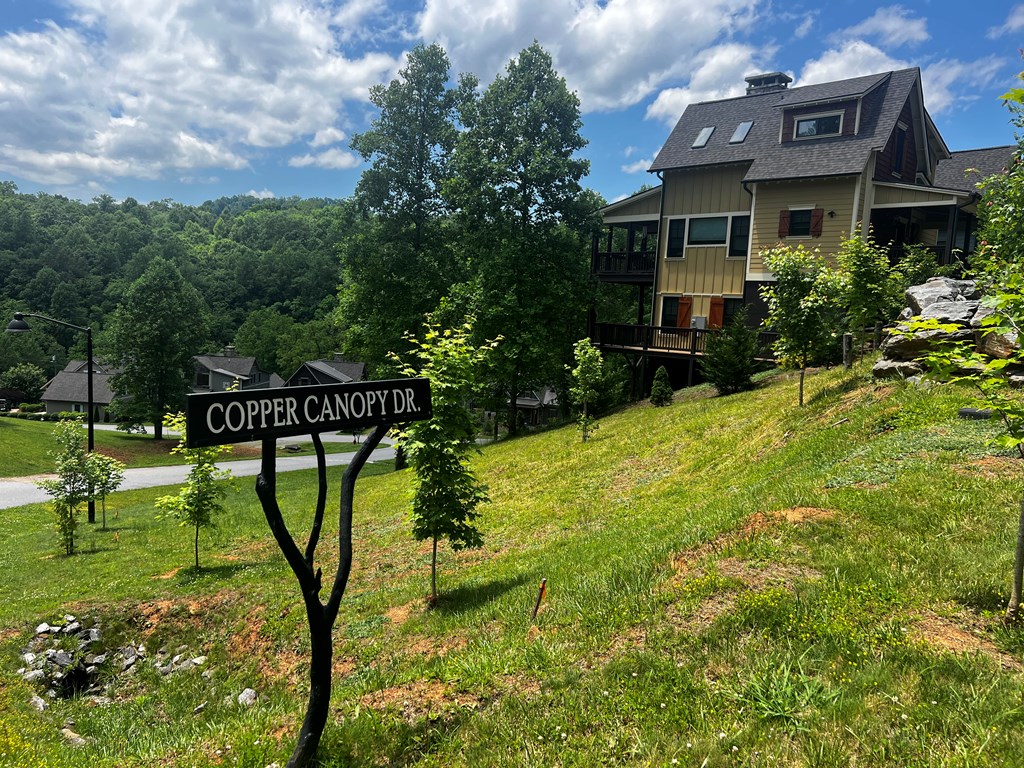 11 Copper Canopy Dr.