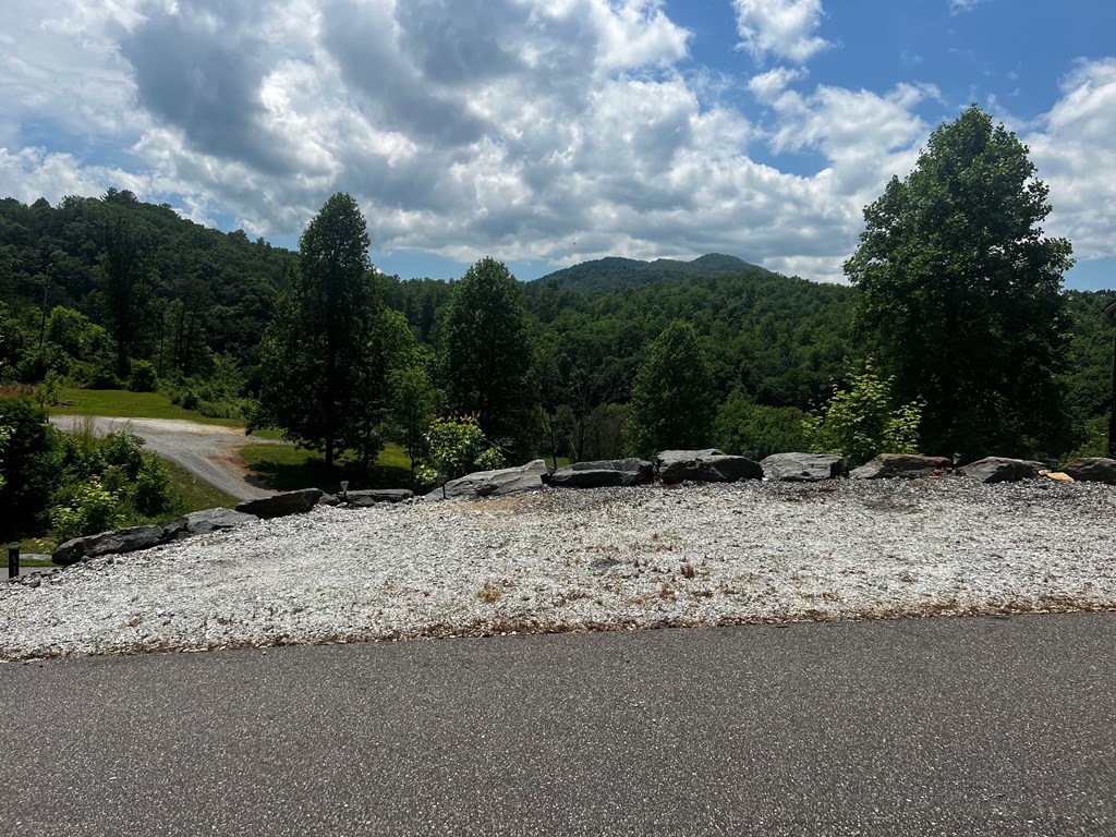 11 Copper Canopy Dr.