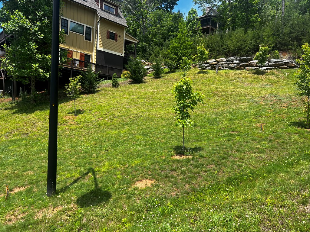 11 Copper Canopy Dr.