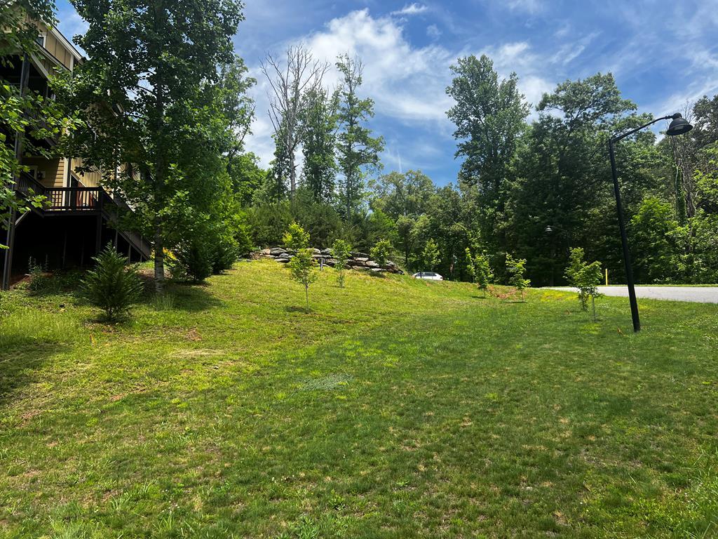 11 Copper Canopy Dr.