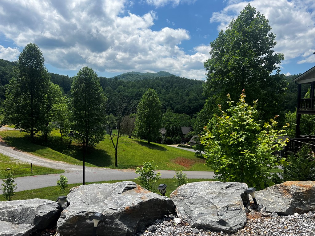 11 Copper Canopy Dr.