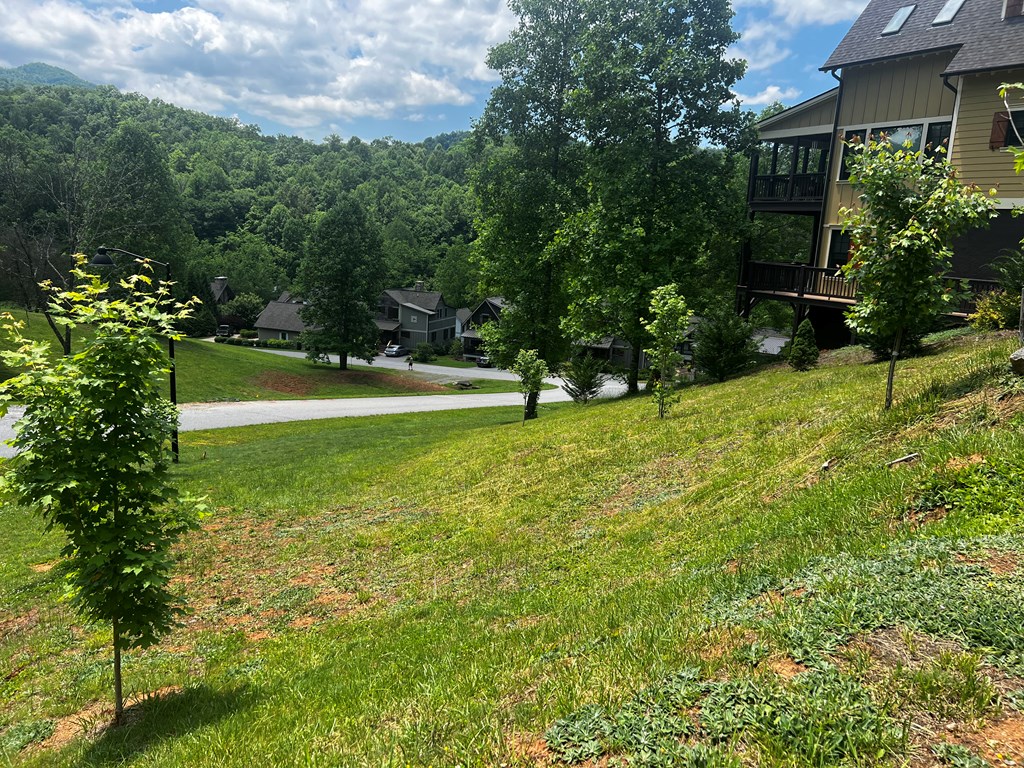 11 Copper Canopy Dr.