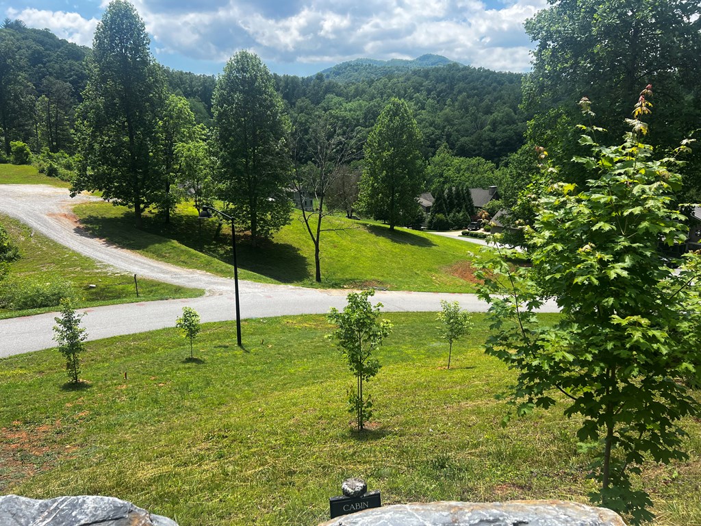 11 Copper Canopy Dr.