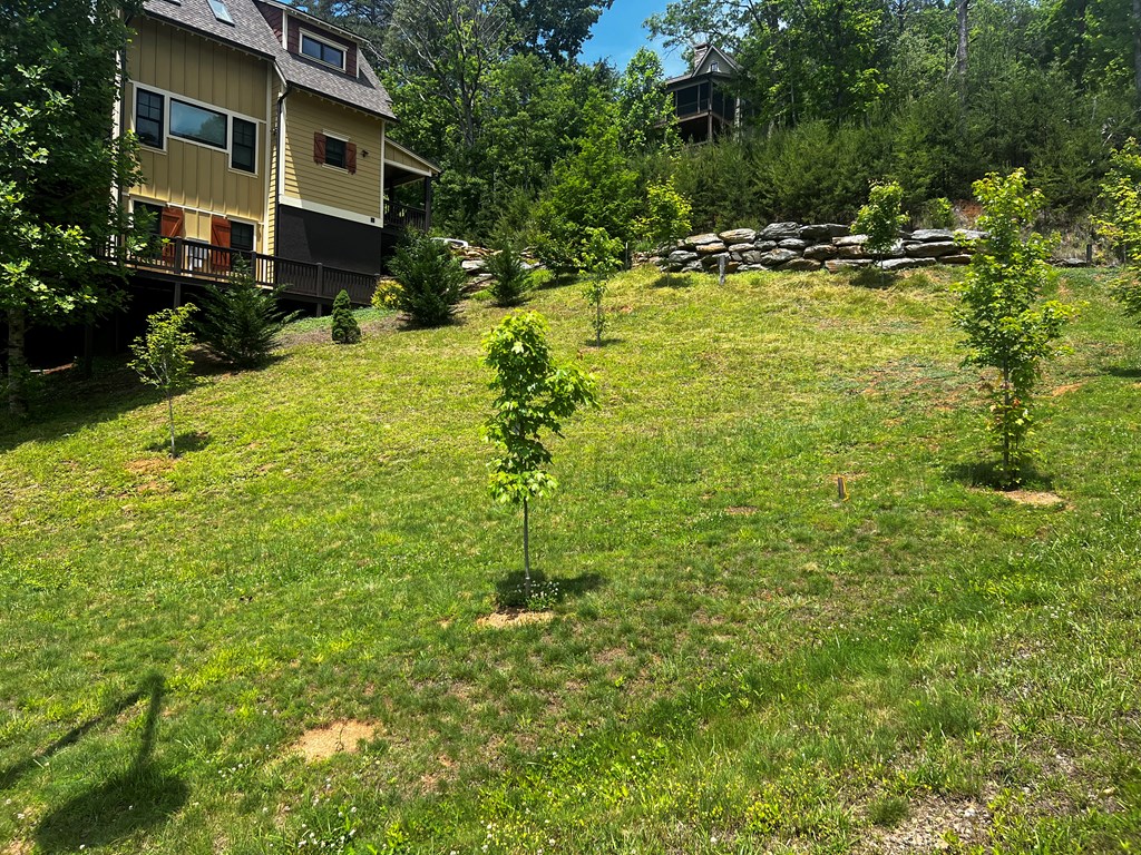 11 Copper Canopy Dr.