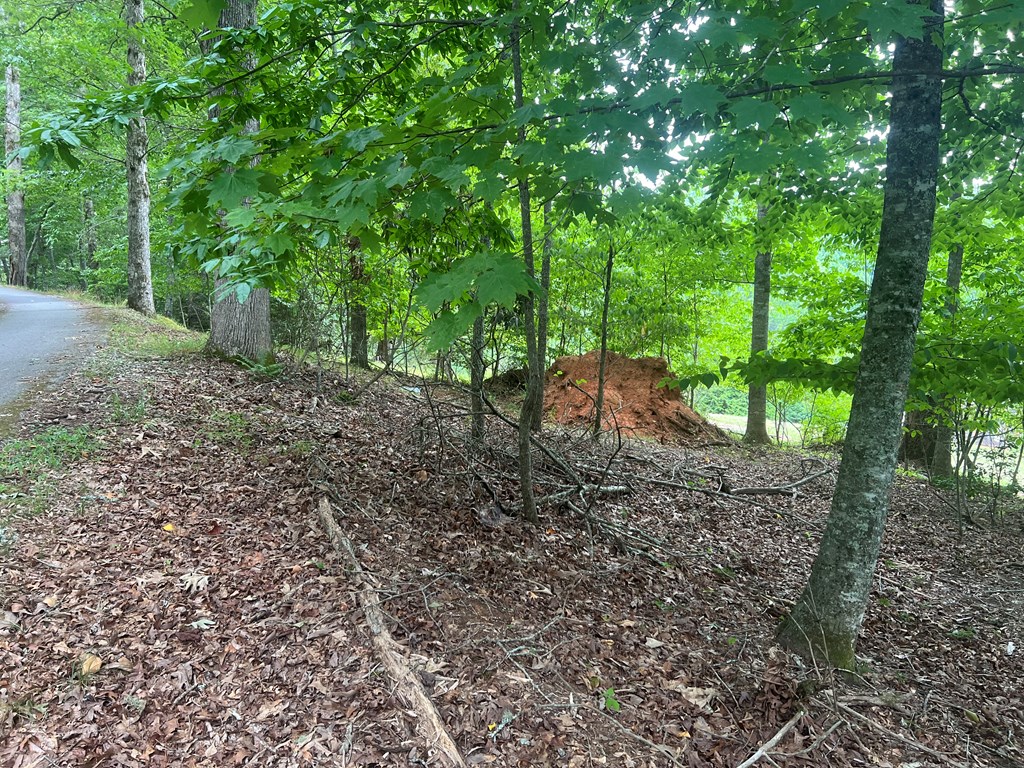 00 Brookstone Forest Way