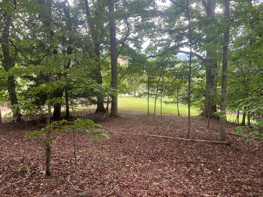 00 Brookstone Forest Way