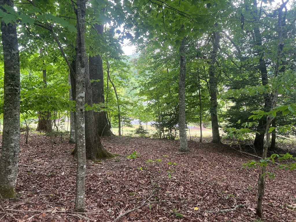 00 Brookstone Forest Way