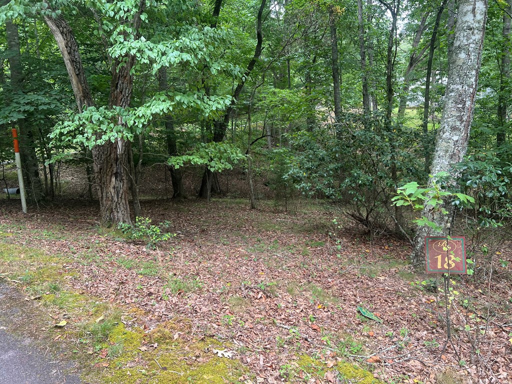 00 Brookstone Forest Way