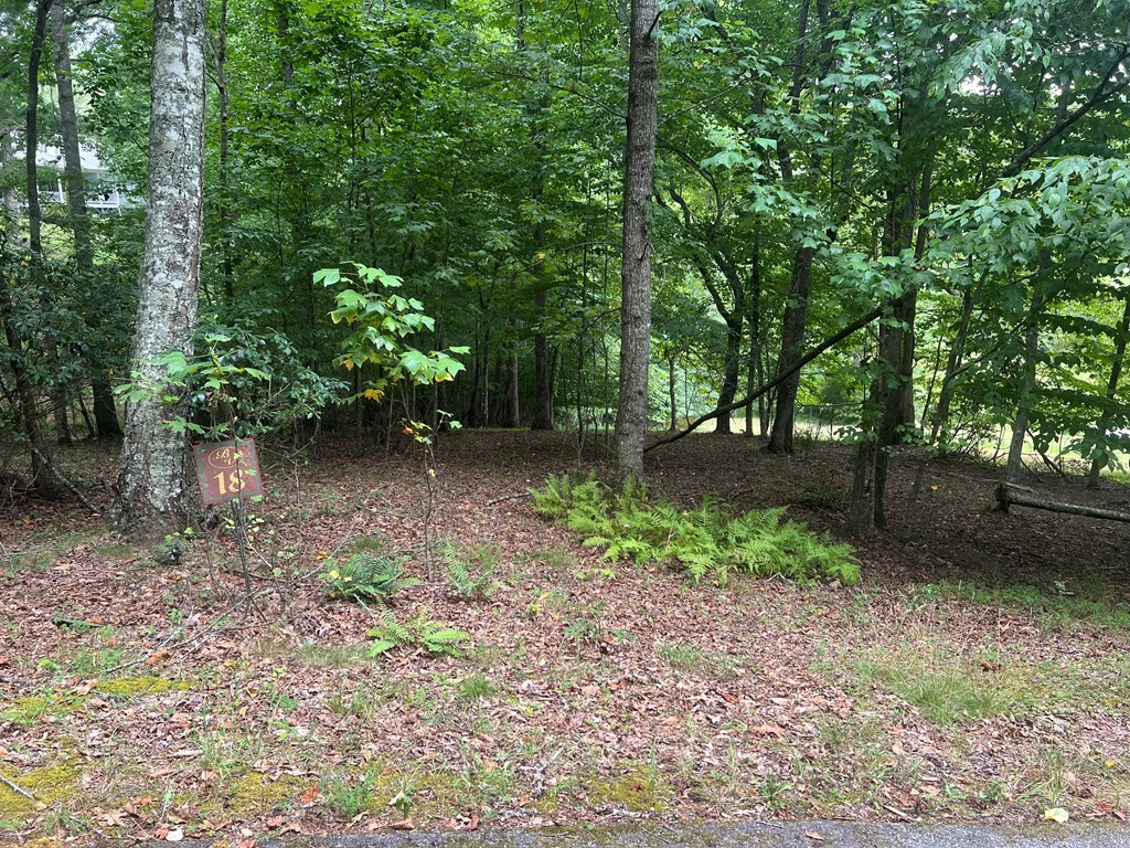 00 Brookstone Forest Way