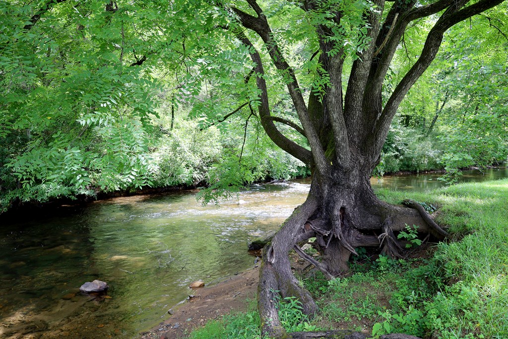 110 N Sundrops Trail